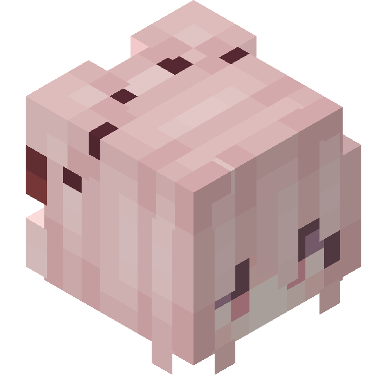 HEAD_ISO