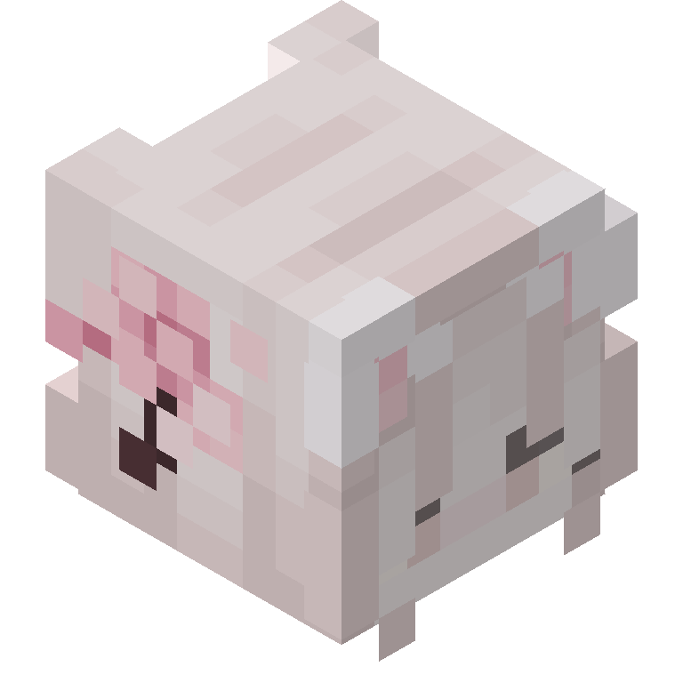 HEAD_ISO