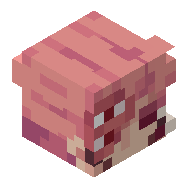HEAD_ISO