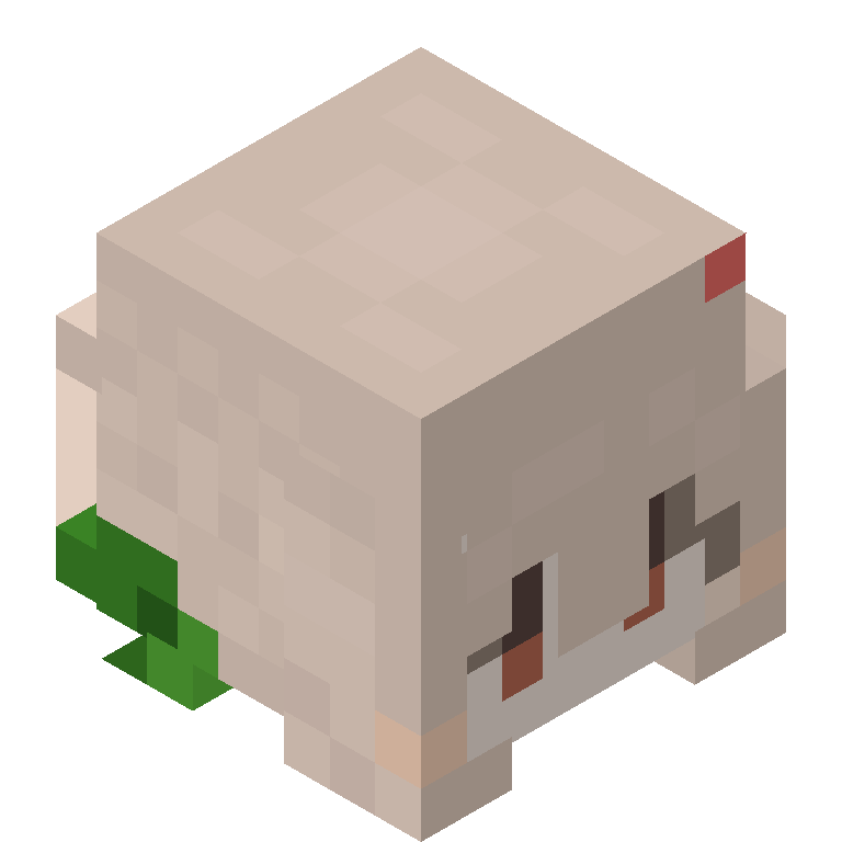 HEAD_ISO