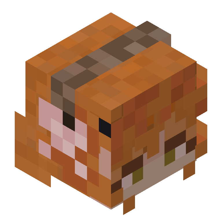 HEAD_ISO