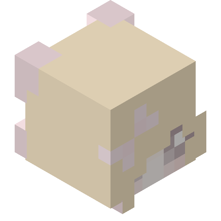 HEAD_ISO