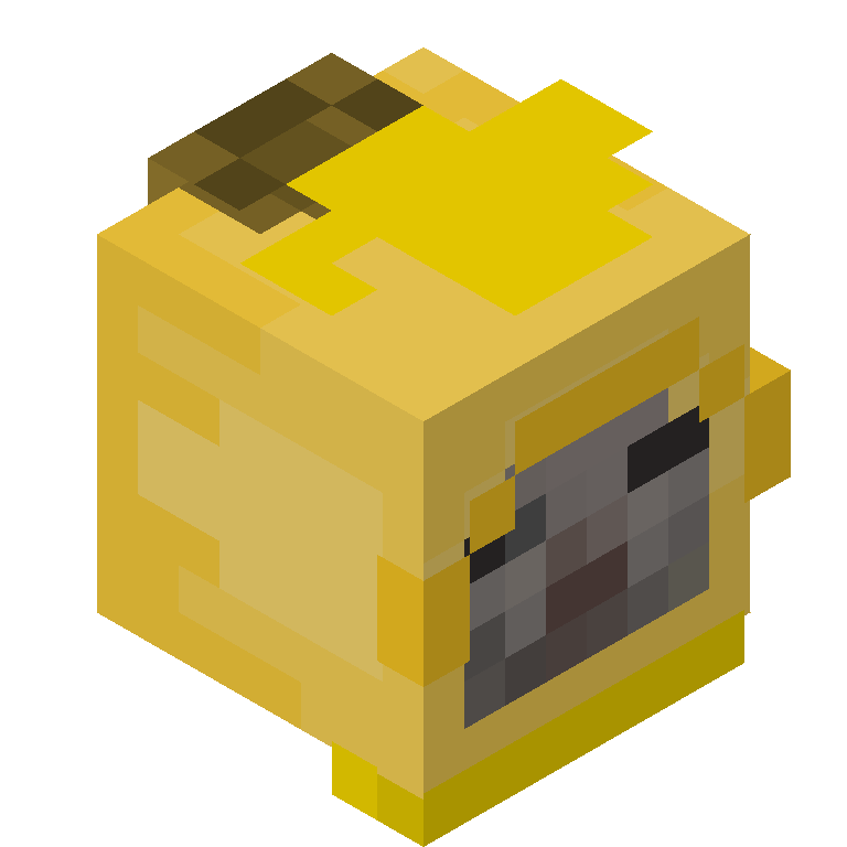 HEAD_ISO