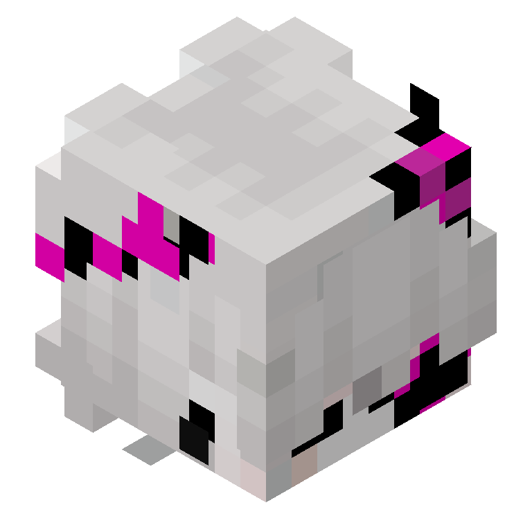 HEAD_ISO