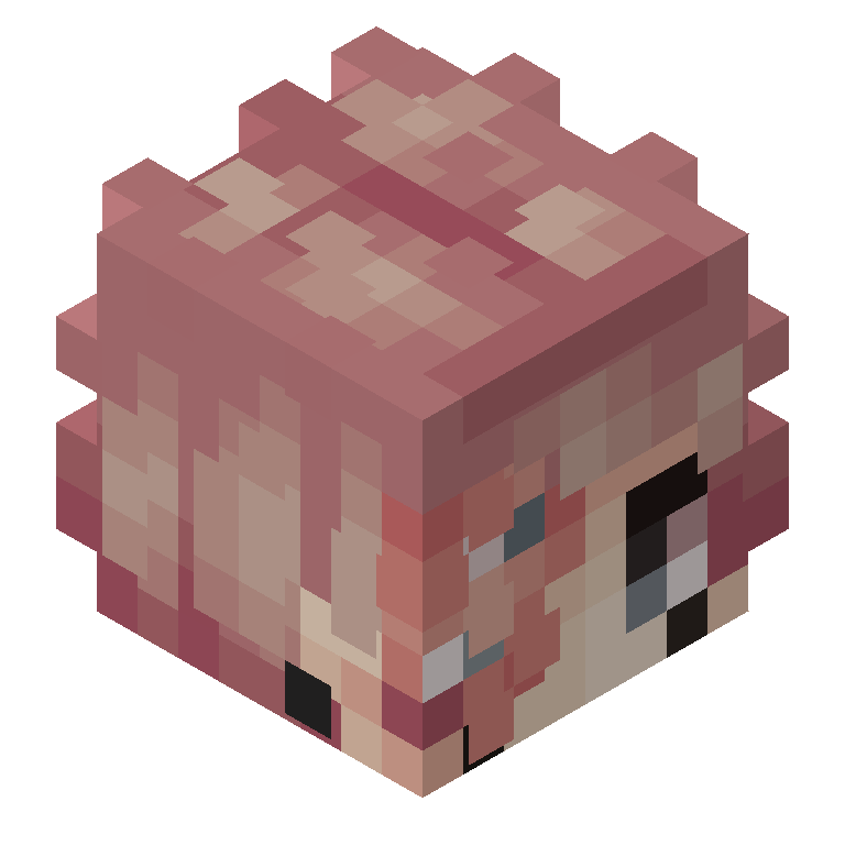 HEAD_ISO
