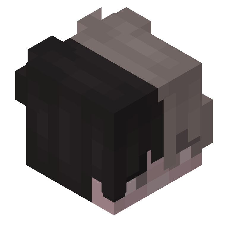 HEAD_ISO