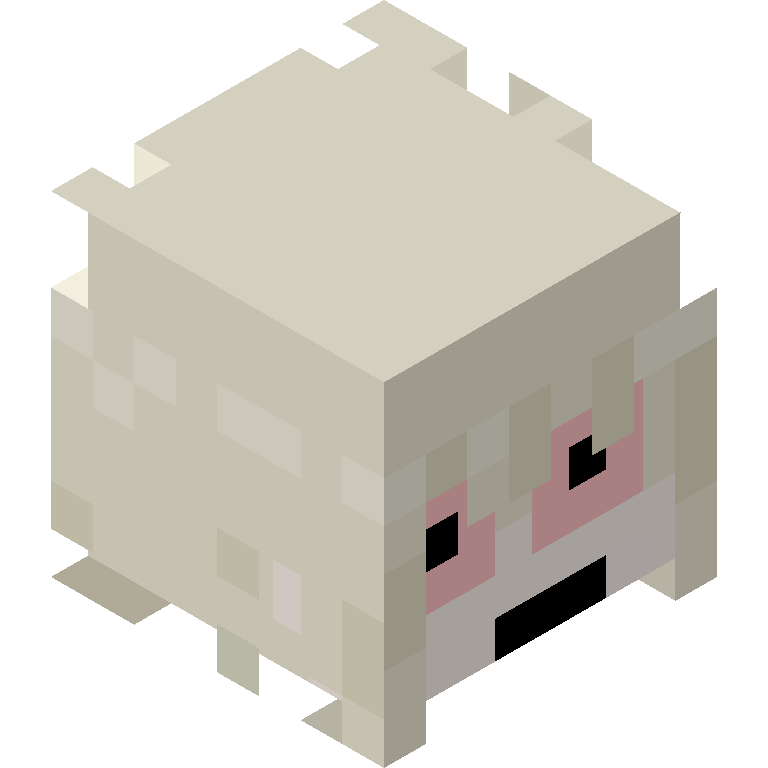 HEAD_ISO