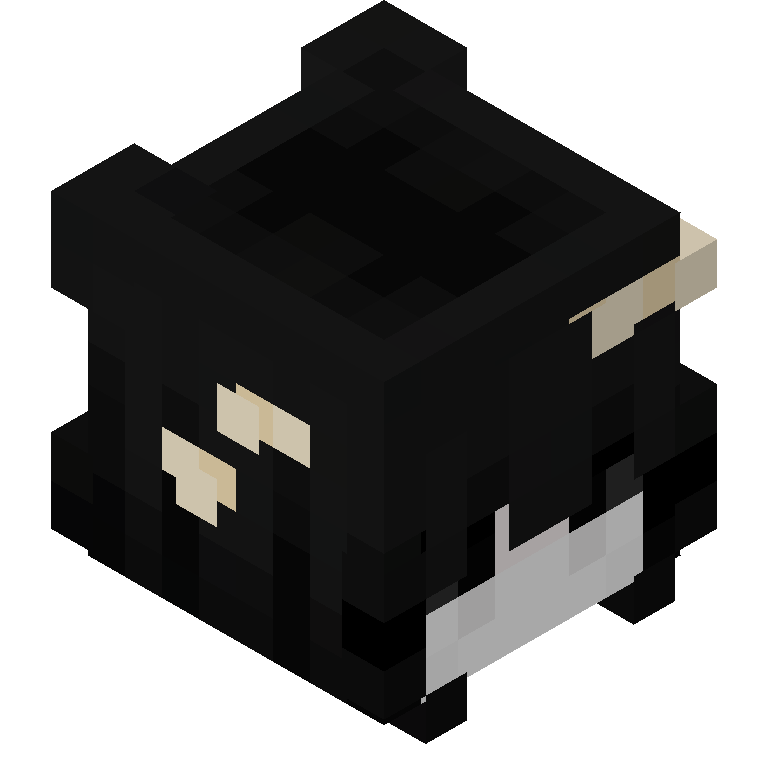 HEAD_ISO