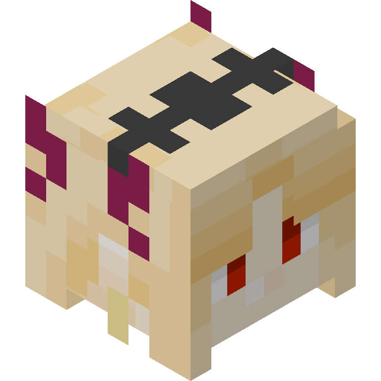 HEAD_ISO