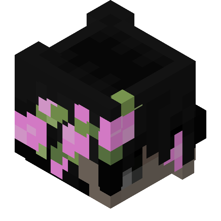 HEAD_ISO