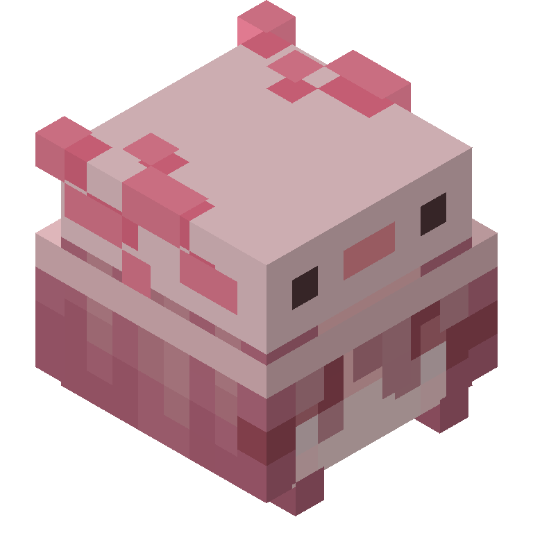 HEAD_ISO