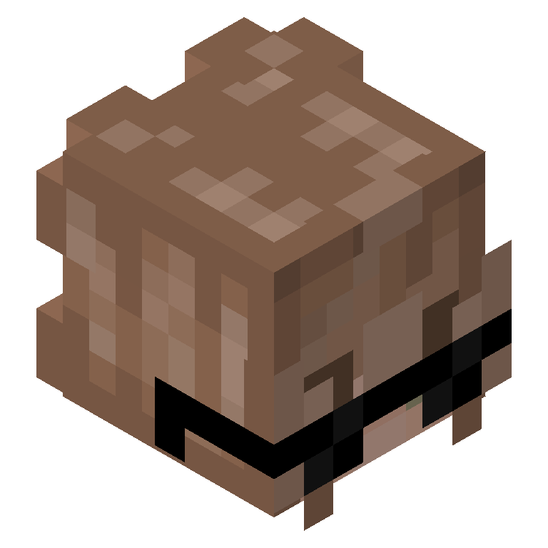 HEAD_ISO