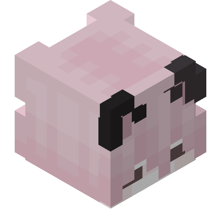 HEAD_ISO