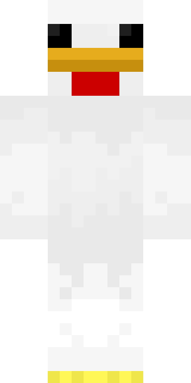 BODY