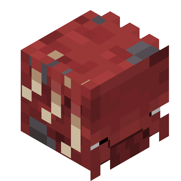 HEAD_ISO