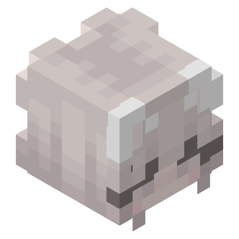 HEAD_ISO