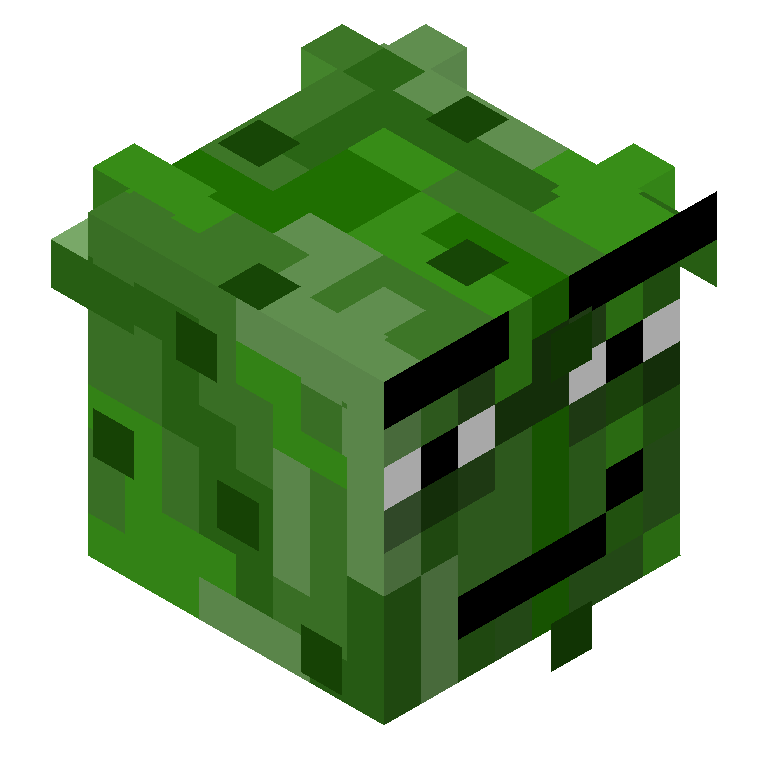HEAD_ISO