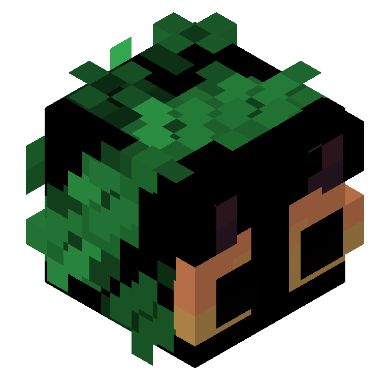 HEAD_ISO
