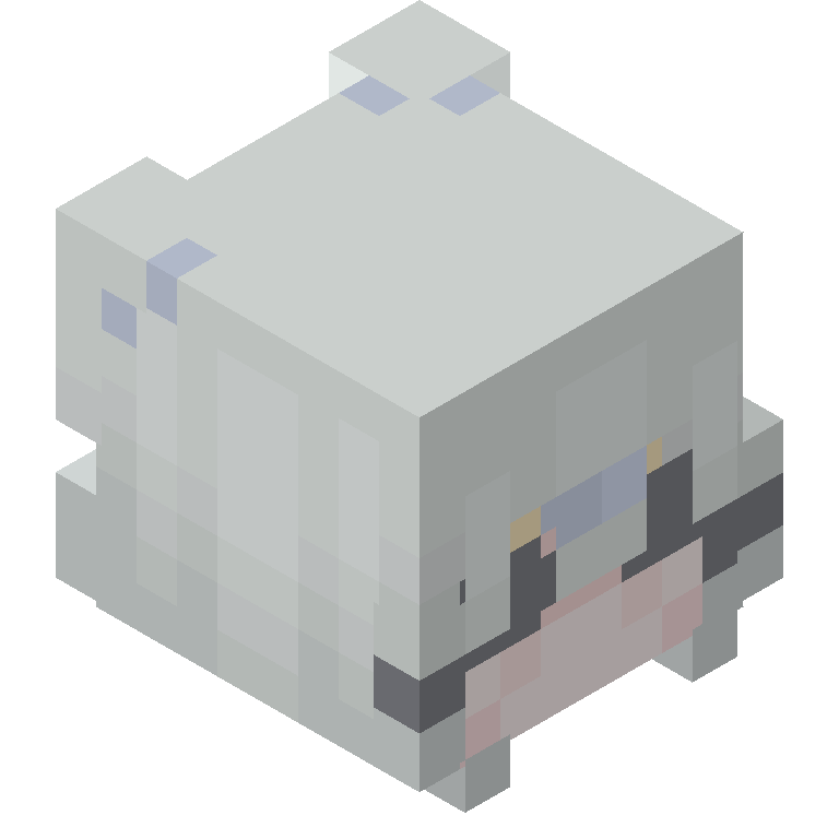 HEAD_ISO
