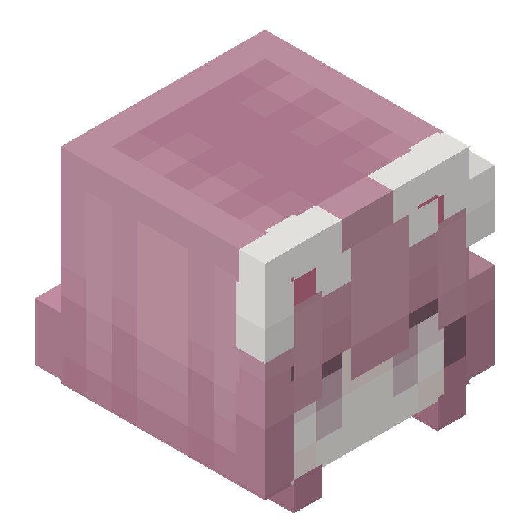 HEAD_ISO