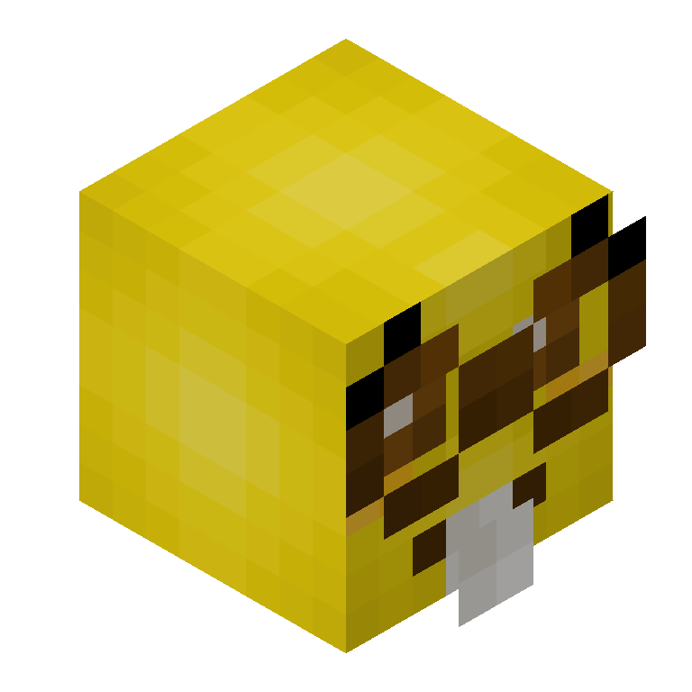HEAD_ISO
