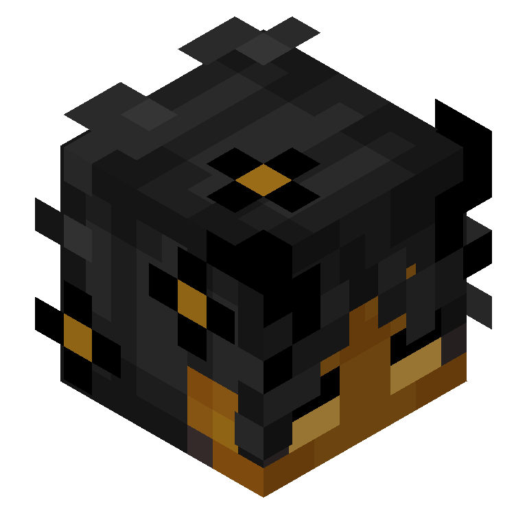 HEAD_ISO