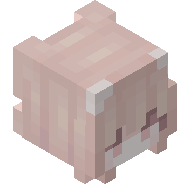 HEAD_ISO