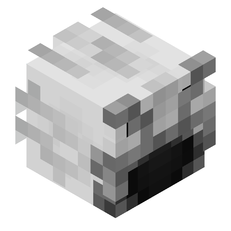 HEAD_ISO