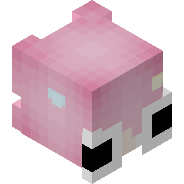 HEAD_ISO