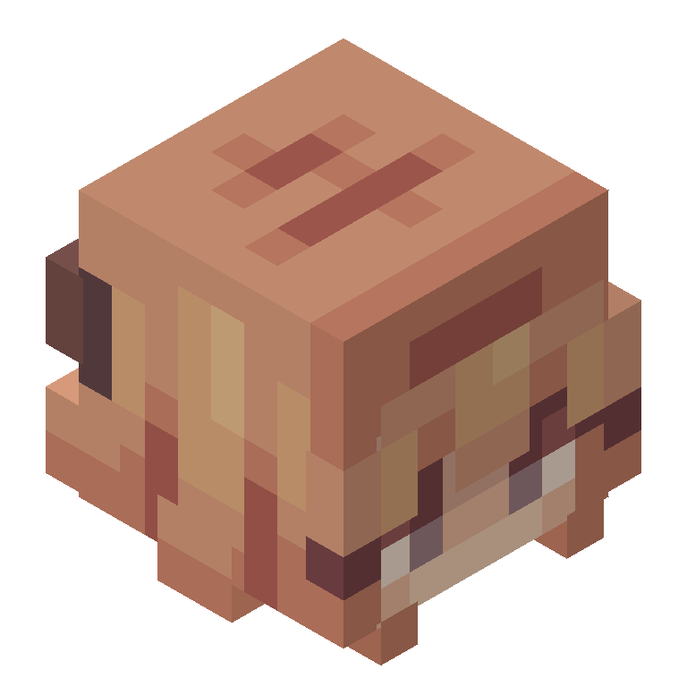 HEAD_ISO