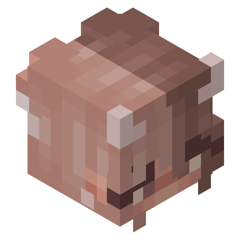 HEAD_ISO