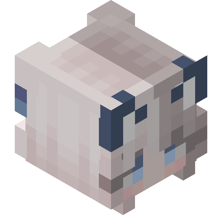 HEAD_ISO