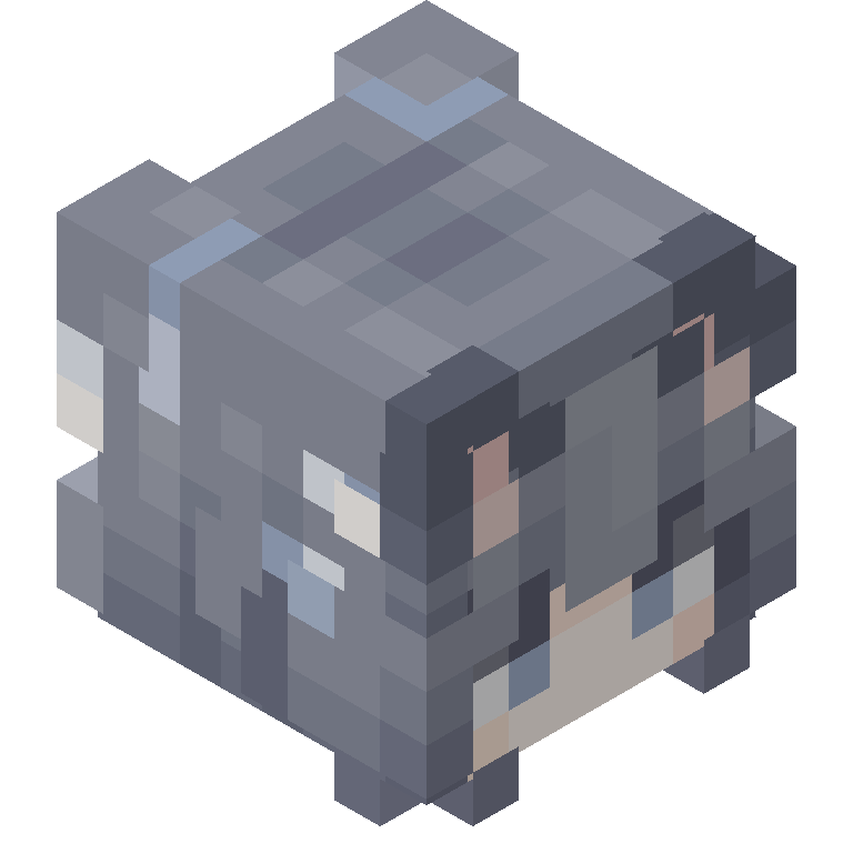 HEAD_ISO