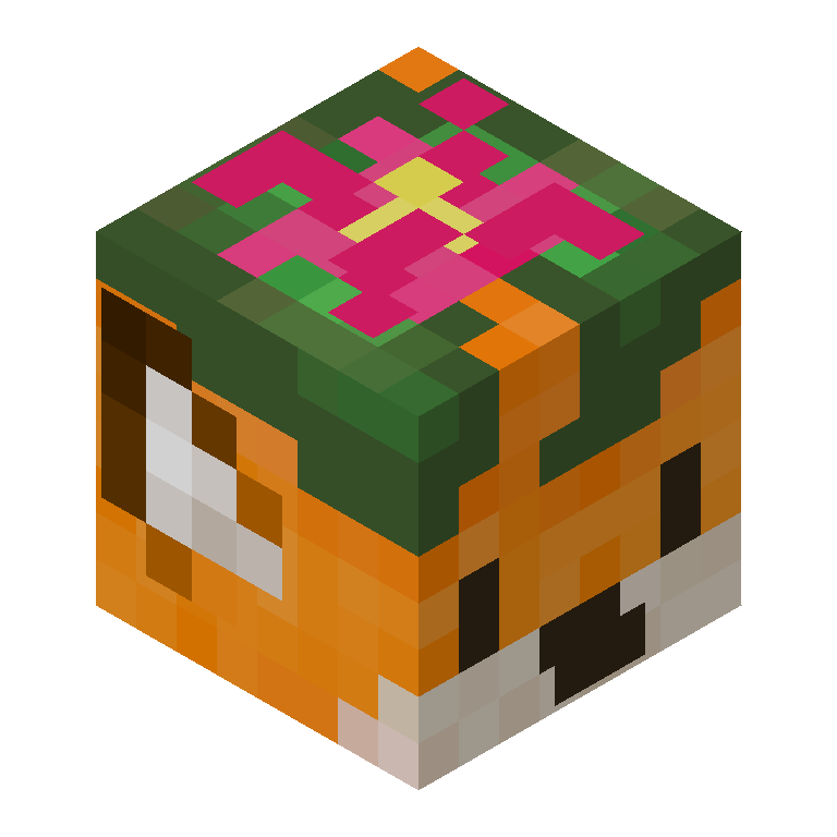 HEAD_ISO