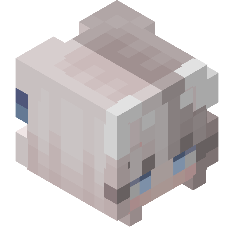 HEAD_ISO