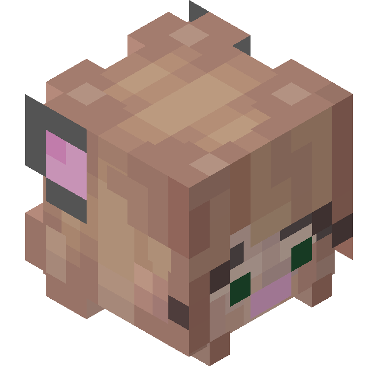 HEAD_ISO