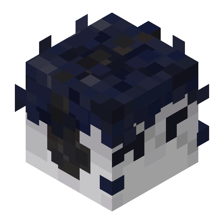 HEAD_ISO