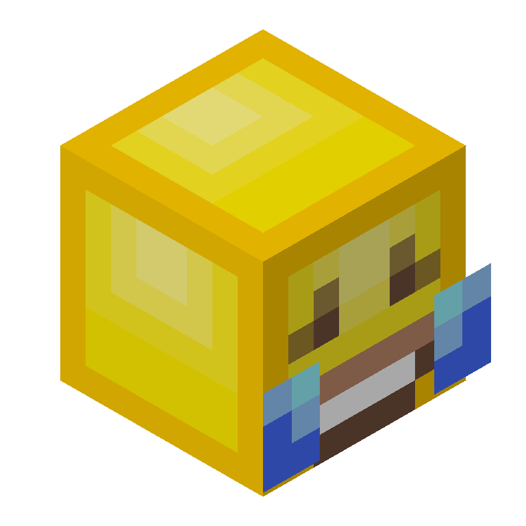HEAD_ISO