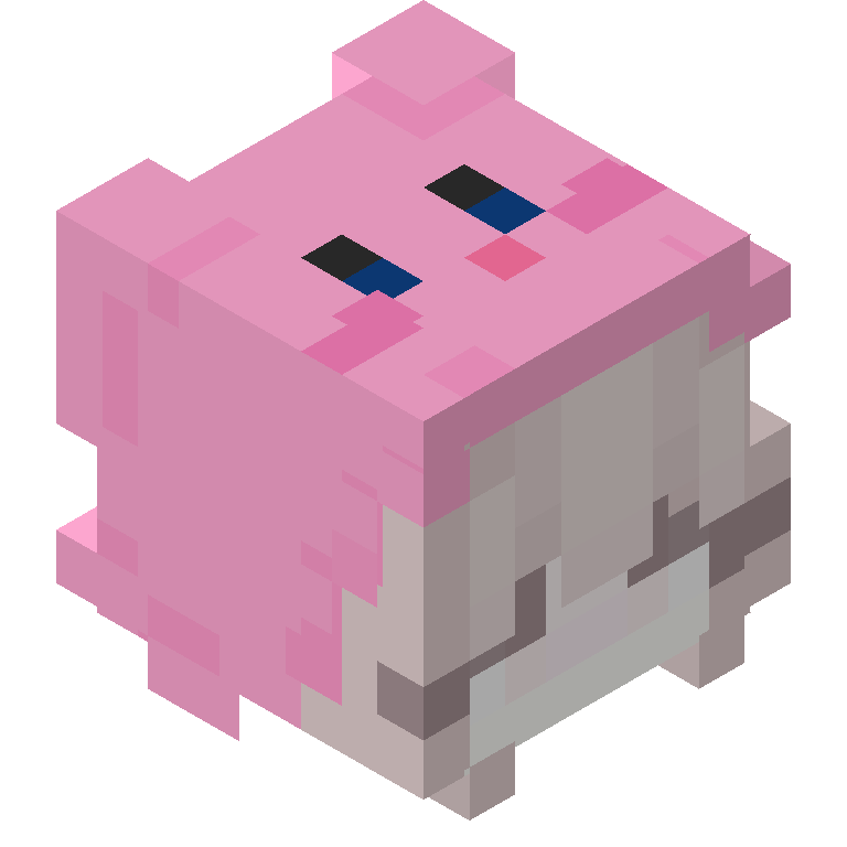 HEAD_ISO