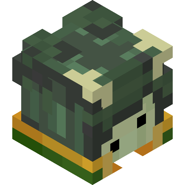 HEAD_ISO