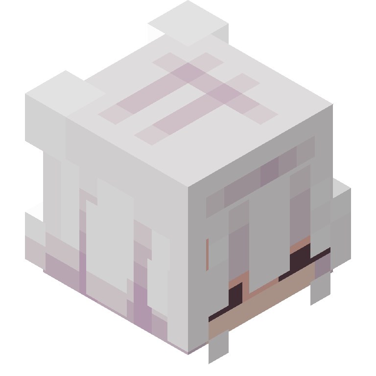 HEAD_ISO