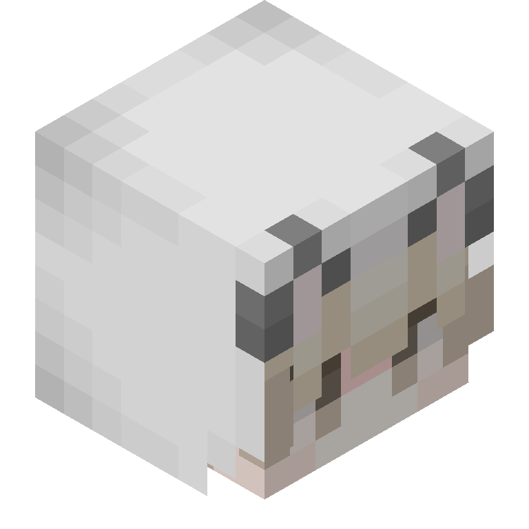 HEAD_ISO
