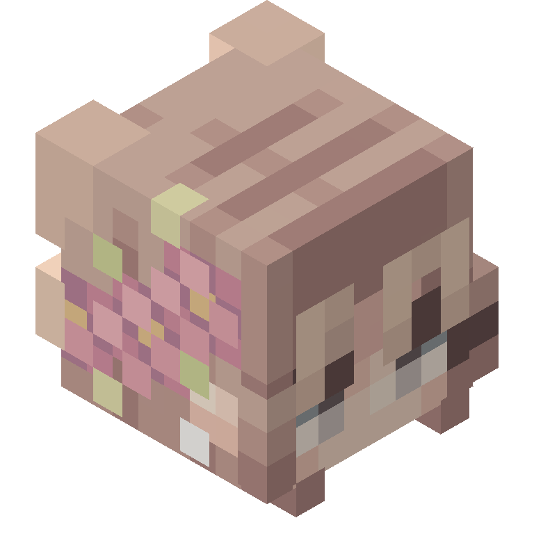 HEAD_ISO