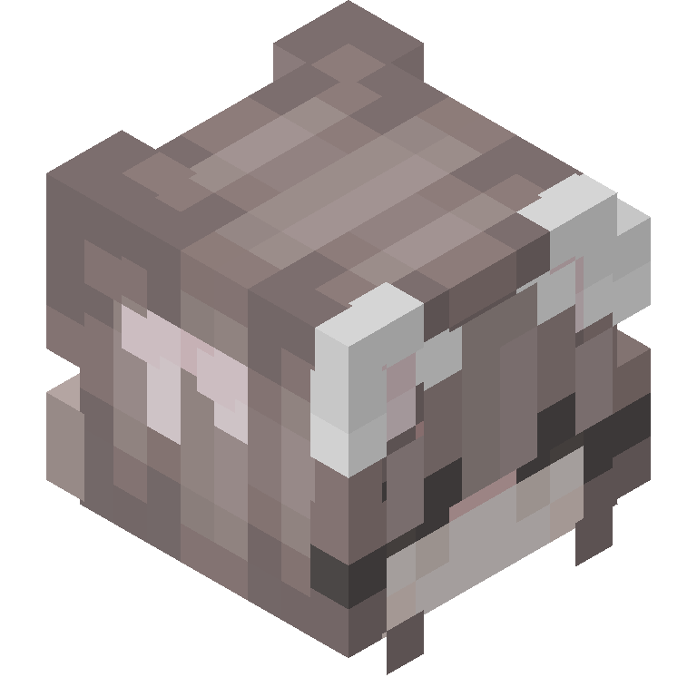 HEAD_ISO