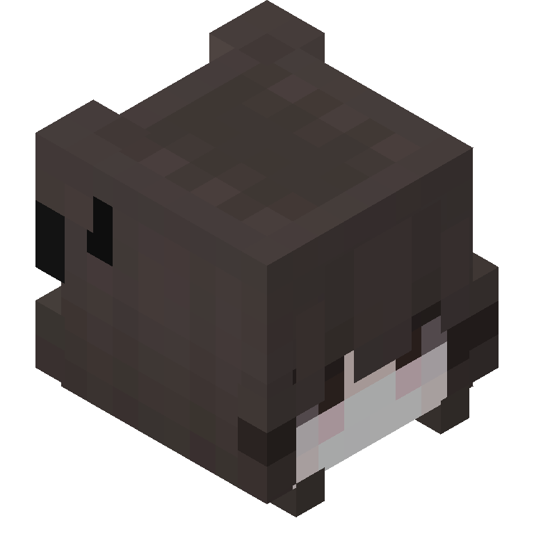 HEAD_ISO