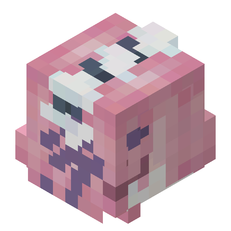 HEAD_ISO