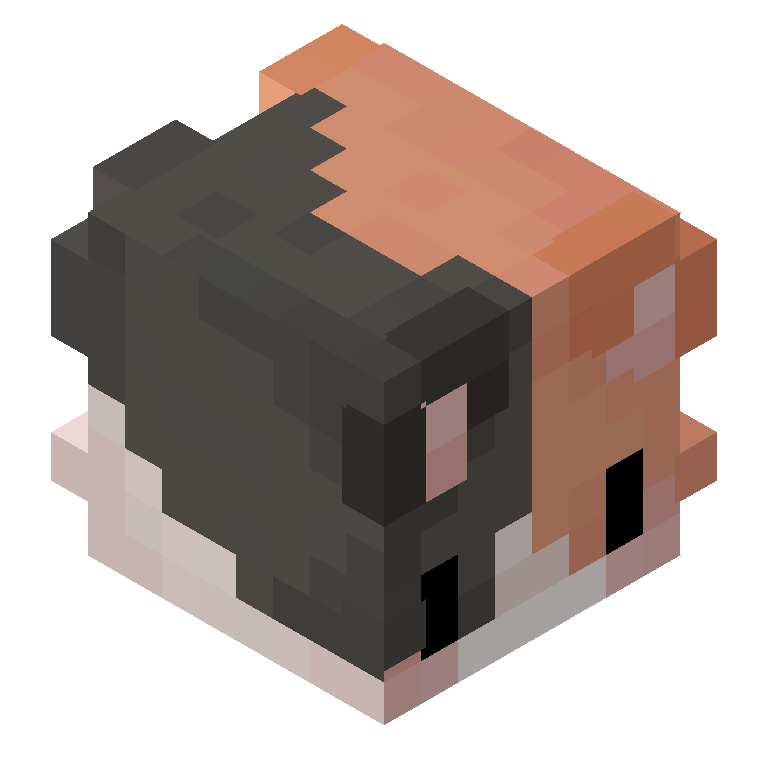 HEAD_ISO