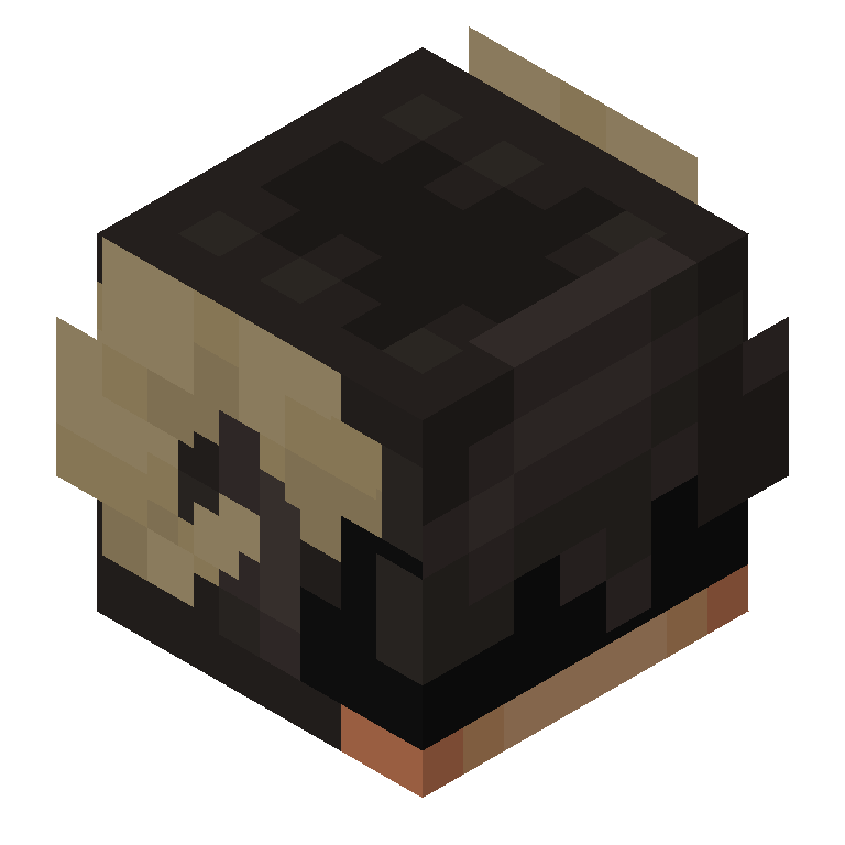 HEAD_ISO