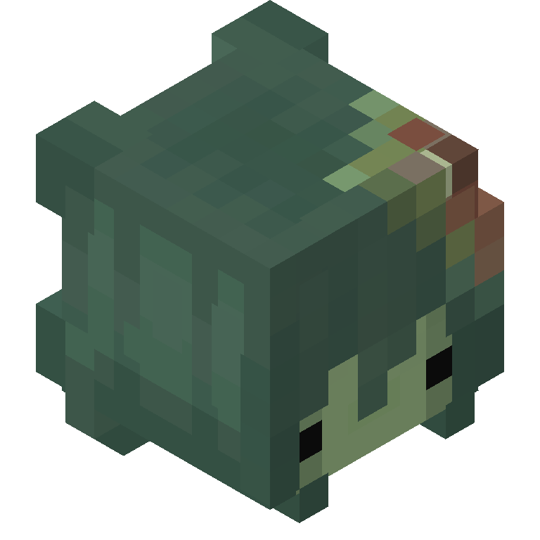 HEAD_ISO