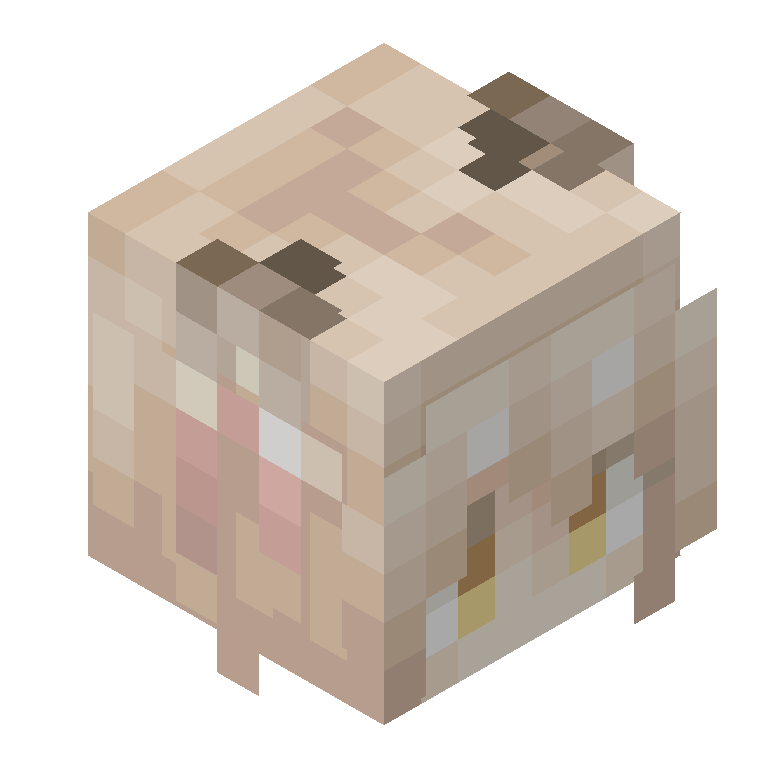 HEAD_ISO